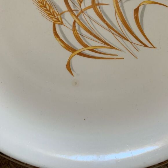 Golden Wheat 9 1/4” Dinner Plate - Picture 2 of 5